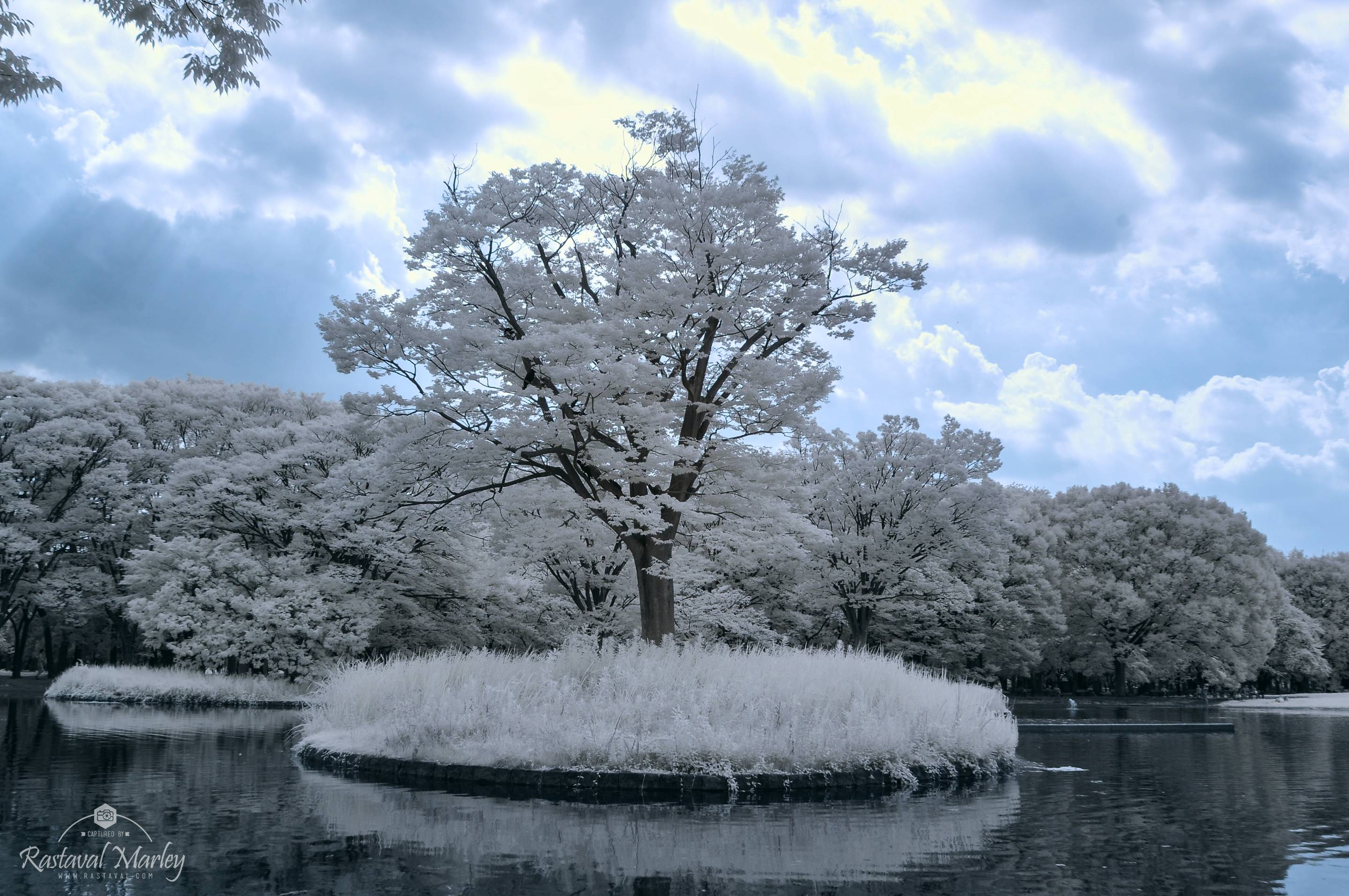 28641477 10213533591468909 1201888274 o copy